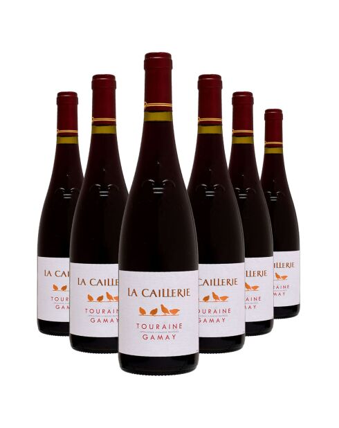 6 Touraine Gamay 2020 La Caillerie 6x75cl