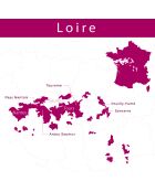 6 Touraine Gamay 2020 La Caillerie 6x75cl
