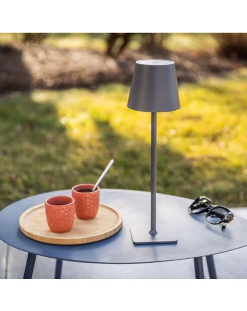 Lampe à poser Ozalide Aliki antracite - 9.5x9.5x38 cm