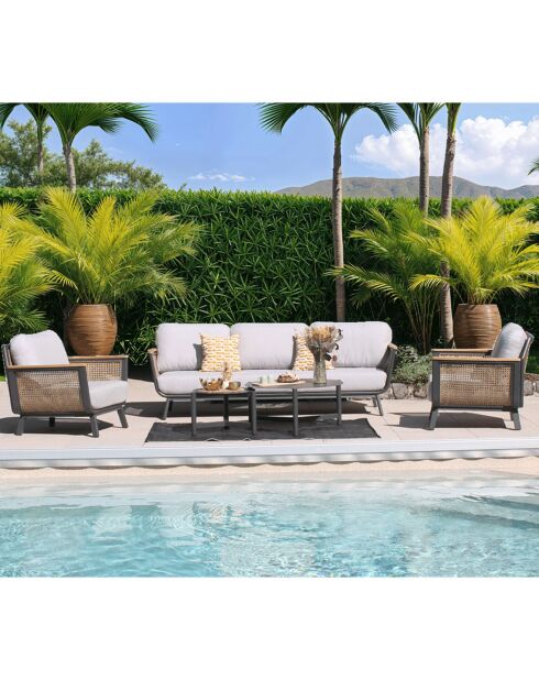 Salon de jardin 5 places Cassis gris/rotin