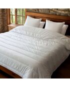 Couette légére Coton Bio blanche