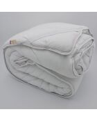 Surconfort de Matelas  blanc