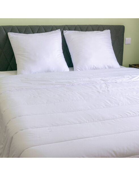 Oreiller ferme Anti Acariens Greenfirst blanc - 60x60 cm
