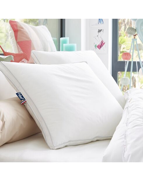 Oreiller ferme en Percale de Coton double passepoil blanc