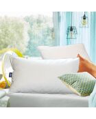 2 Oreillers fermes en Percale de Coton double passepoil blancs