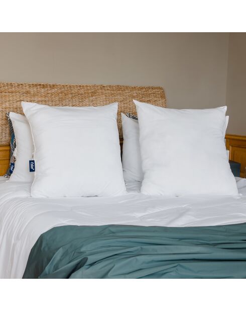 Oreiller ferme lavable blanc