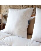 2 Oreillers moelleux 100% Recyclés Ecogreen blancs