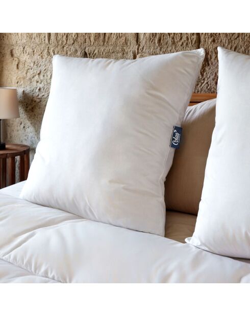 2 Oreillers moelleux 100% Recyclés Ecogreen blancs