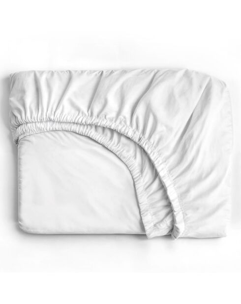 Protège-matelas Estia Bio AbsorbantIO blanc