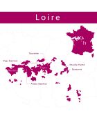1 Saumur-Champigny 2022 Ch. Yvonne 75cl