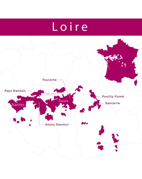 1 Saumur-Champigny 2022 Ch. Yvonne 75cl