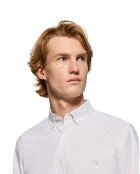 Chemise Block Pc Regular Oxford Stripes marron