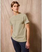 T-Shirt Apolo pierre