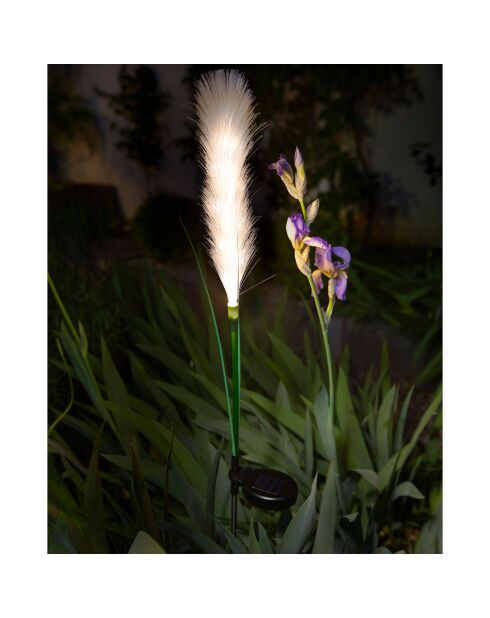 Décoration lumineuse à énergie solaire 10 LED plumeau blanche - 11.5x7.5x62 cm
