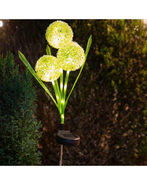 Décoration lumineuse à énergie solaire 30 LED fleurs blanche- 16x8.5x42 cm