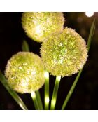 Décoration lumineuse à énergie solaire 30 LED fleurs blanche- 16x8.5x42 cm