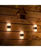 Applique murale solaire 2 LED blanche- 7x4x15 cm