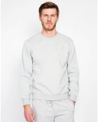 Sweat César gris chiné