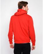 Sweat Benoit rooibos