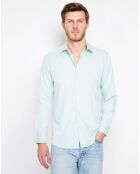 Chemise Emile vert amende