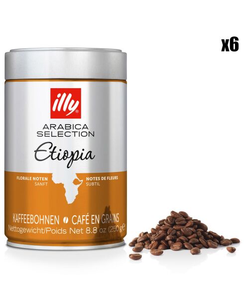 6 Boîtes de Café Grains Arabica Sélection Ethiopie - 6x250 gr