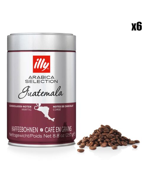 6 Boîtes de Café Grains Arabica Sélection Guatemala - 6x250 gr