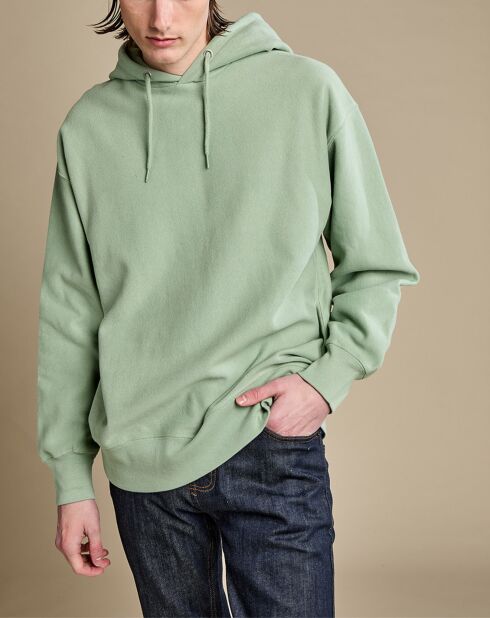 Sweat à capuche 100% Coton Bio Fredo basil