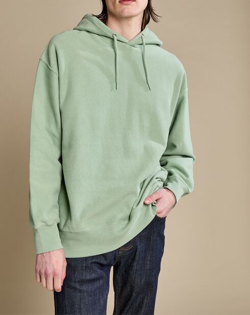 Sweat à capuche 100% Coton Bio Fredo basil