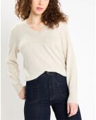 Pull 100% Cachemire Zocon col V gris clair
