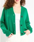 Cardigan en Laine & Cachemire Tabiola vert