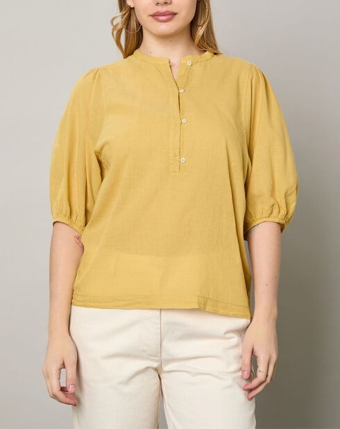 Top Turette pollen