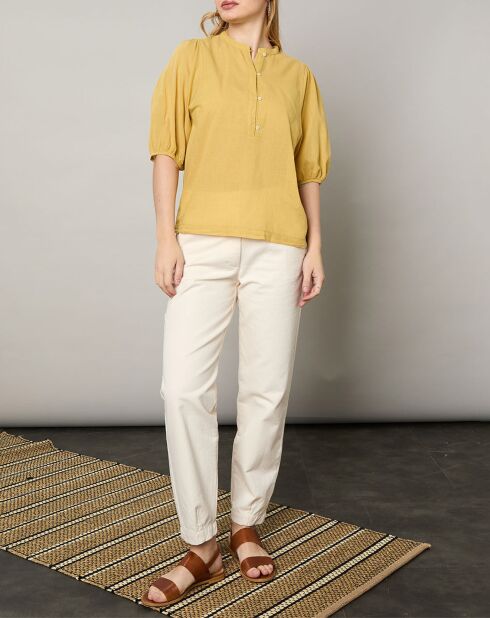 Top Turette pollen