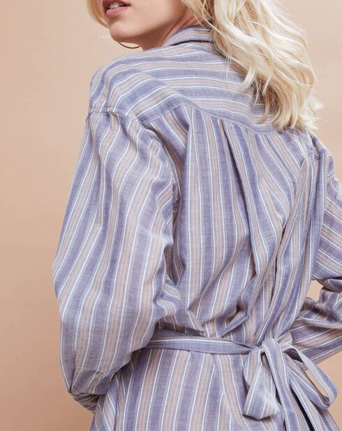 Robe Malorie Pastel rayée bleue