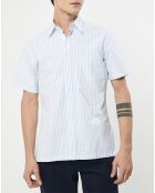 Chemise en coton épais Slim Fit Bat Oxford à rayures bleu ciel
