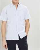 Chemise en coton épais Slim Fit Bat Oxford à rayures bleu ciel