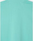 Polo Regular Fit uni piqué vert clair