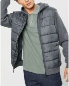 Blouson Hybride bi-matière Jersey gris