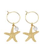 Boucles d'Oreilles Starfish en Laiton doré & Perle