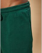 Bermuda Light racing green