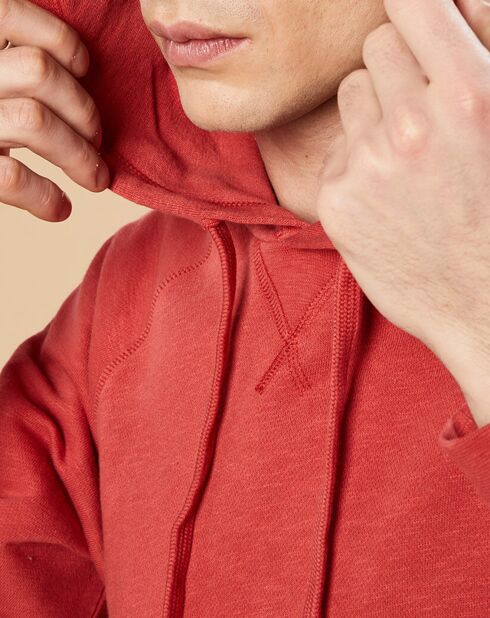 Sweat à capuche Light brique
