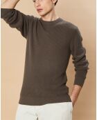 Pull en Coton & Cachemire Rib Crew olive