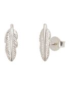 Boucles d'oreilles Tatoo Plume en argent