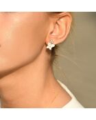 Boucles d'oreilles Papillons Or Jaune