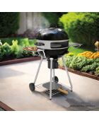 Four à Pizza Adapté pour Barbecue au Charbon argenté - D.57 cm