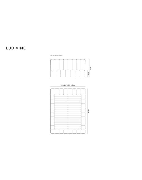 Lit Coffre en Velours Avec Tête de Lit Ludivine noir  -  230x205x94 cm