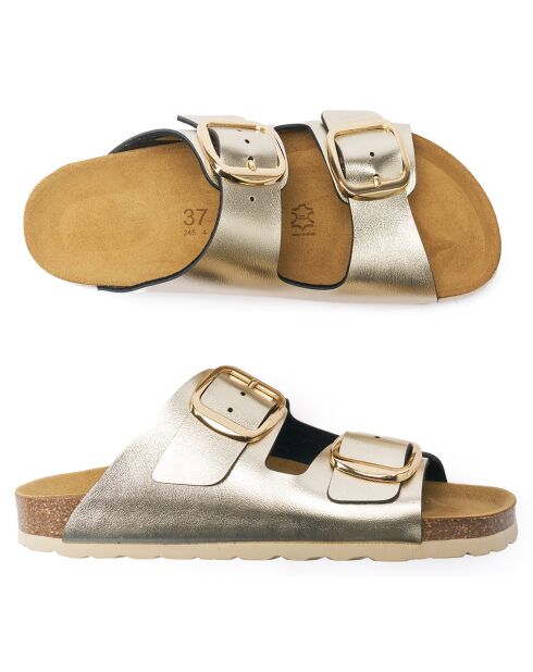 Mulas doradas Alberto