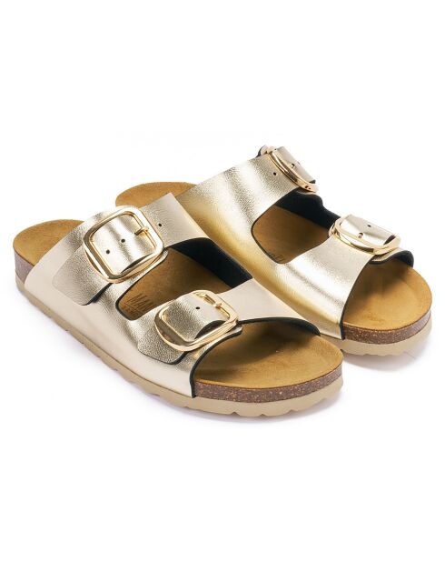 Mulas doradas Alberto