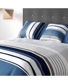 Parure Housse de Couette 3pcs 100%coton 57fils belize