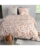 Parure Housse de Couette 3pcs 100% Coton 57fils kaylie