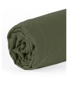 Drap Housse en percale de Coton vert